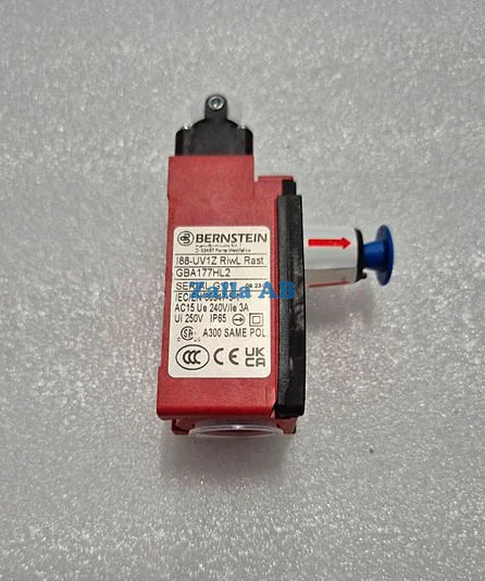 Interkock switch